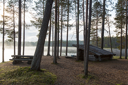 Hiking Trails in Hossa 