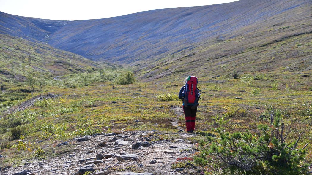 urho-kekkonen-national-park-trails-nationalparks-fi