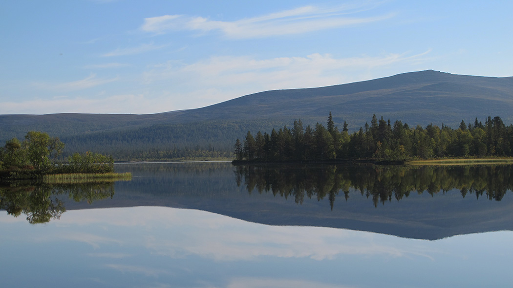A fell is reflecting off the lake surface. Coniferous forest is surrounding the lake.