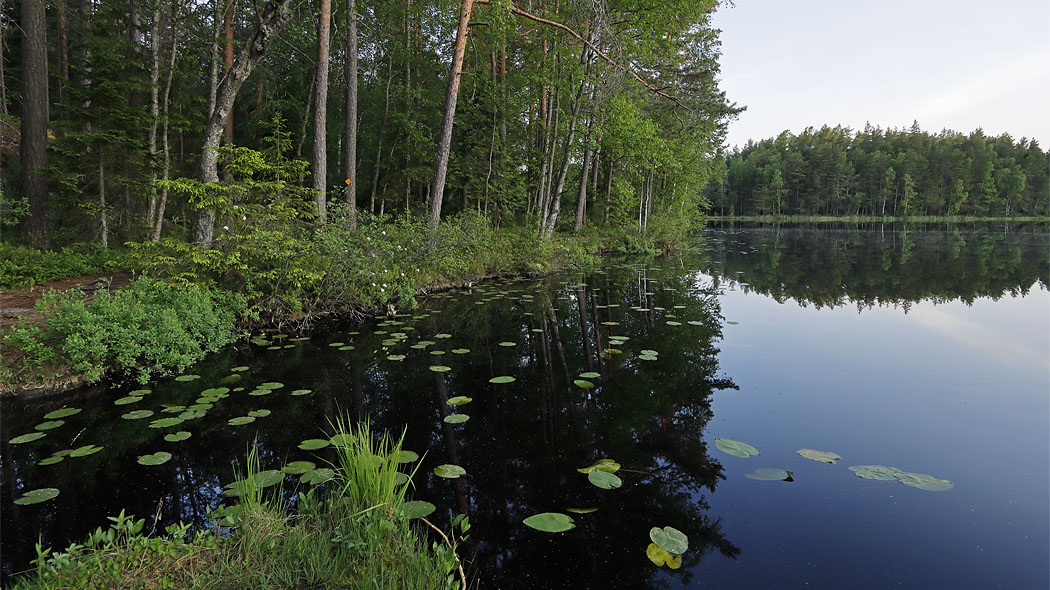 The Storträsk lake landscape.