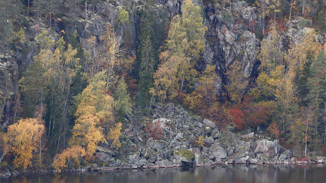 A rocky cliff rising from the water's edge surrounded by trees coloured by autumn.