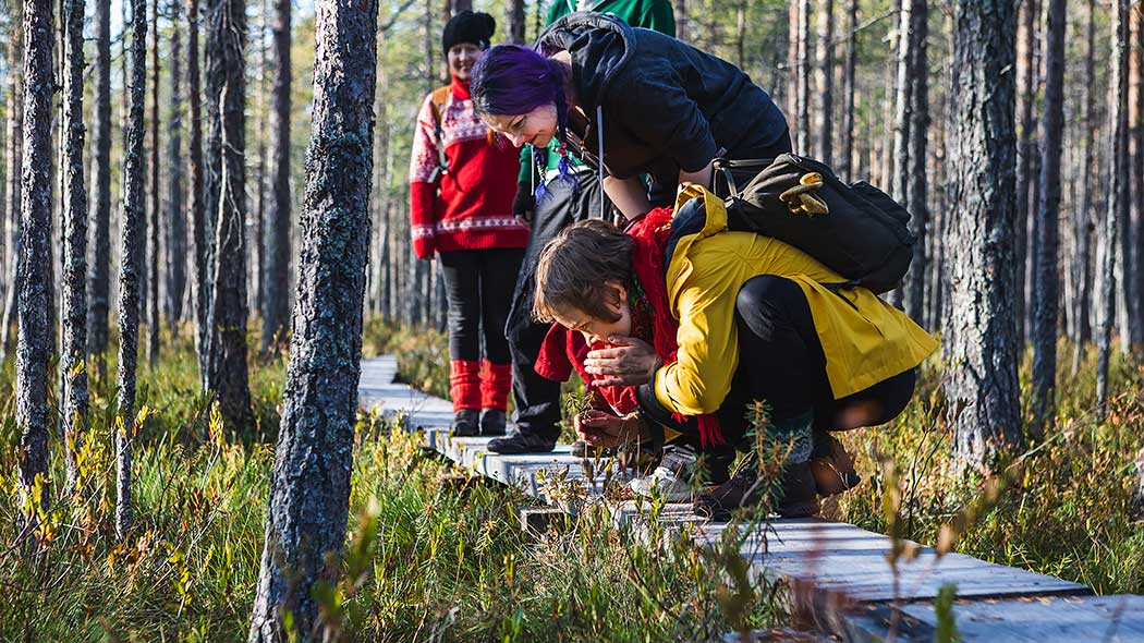 Petkeljärvi National Park Trails 