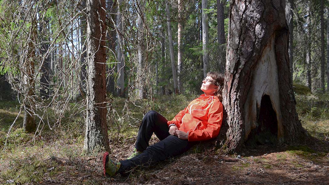 A person is sitting on the ground and leaning against a tree.