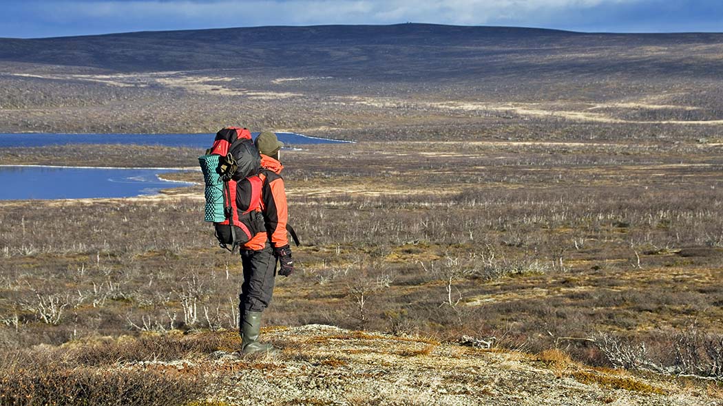 tarvantovaara-wilderness-area-trails-nationalparks-fi