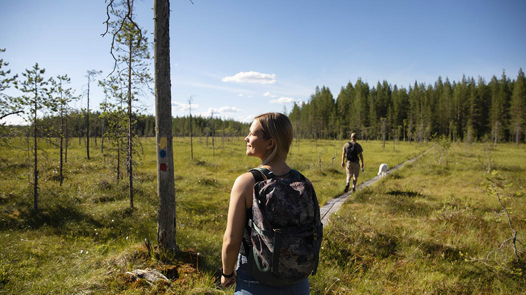 Kaksi retkeilijää ja koira pitkospolulla. Ympärillä suota ja taustalla metsää.