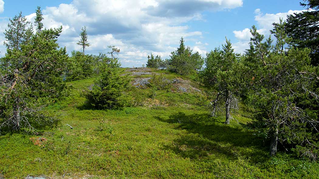 Natural Features of Iivaara Nature Reserve 