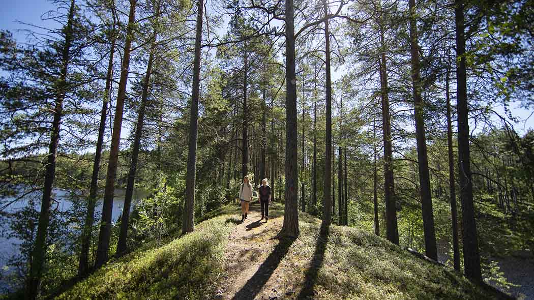 Kaksi retkeilijää harjulla olevalla polulla. Ympärillä on puita ja vesistöä.