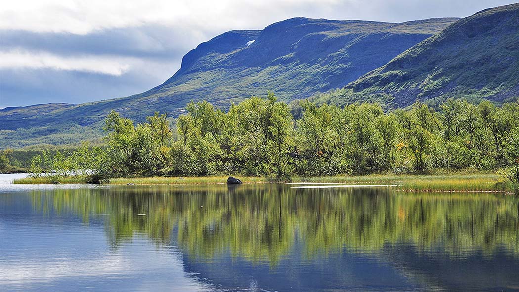 A summer picture of a fell rising from the lake on a sunny day. There is a birch tree at the foot of the fell, which is already in full leaf.