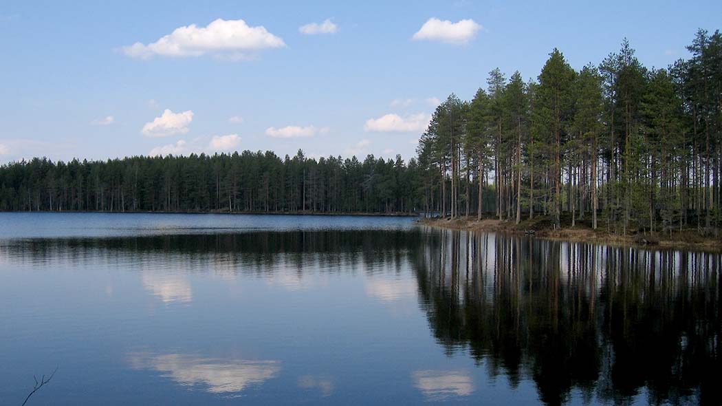 Järvimaisema.