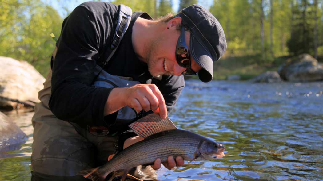 The fisherman caught a grayling in the river.