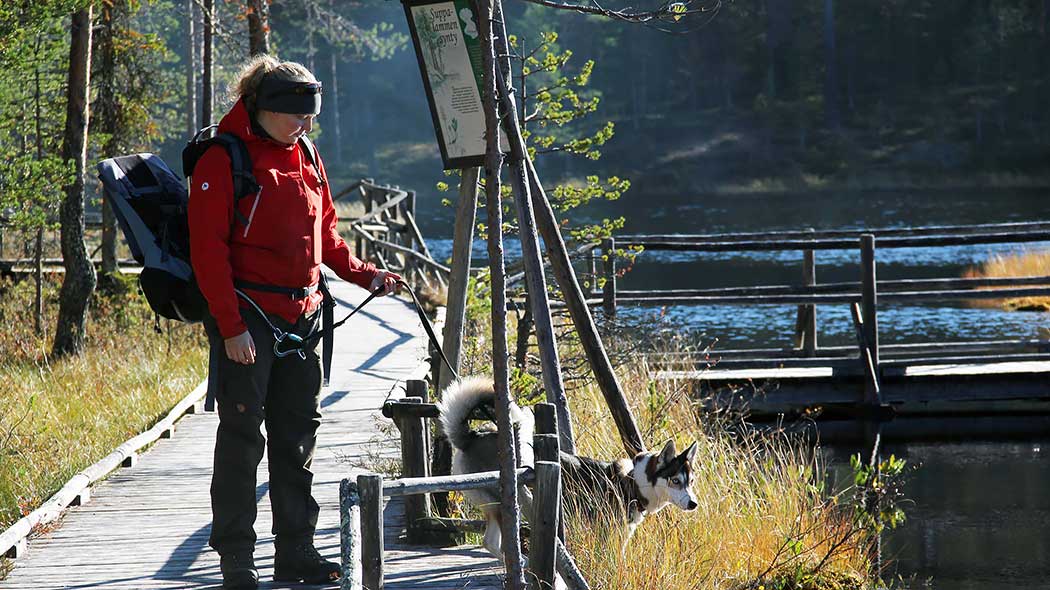 what do you do with dog poop when backpacking