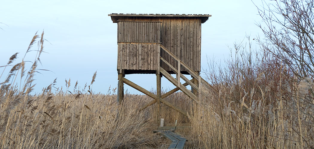 Premium Photo | Birdwatching tower wooden observation tower against the  blue sky kuressaare estonia baltic