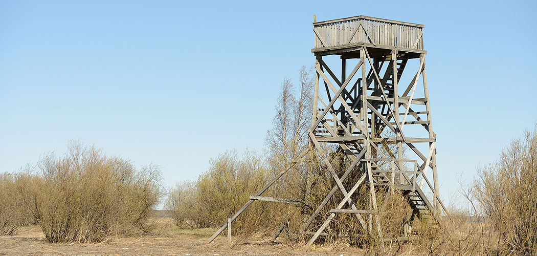 Bird Watching Tower Birds Reserve Tall Photo Background And Picture For  Free Download - Pngtree