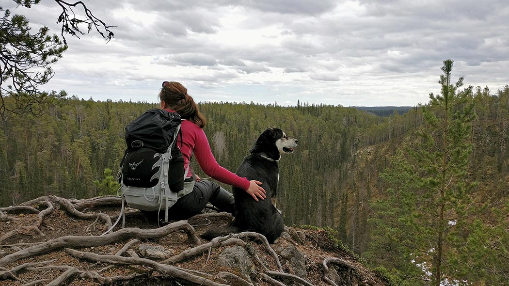 Hiking Trails in Oulanka 