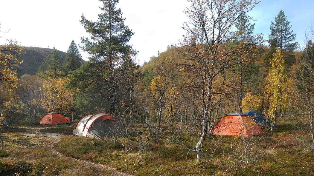 Services in Urho Kekkonen National Park 