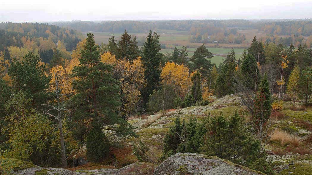 Sipoonkorpi National Park Trails 